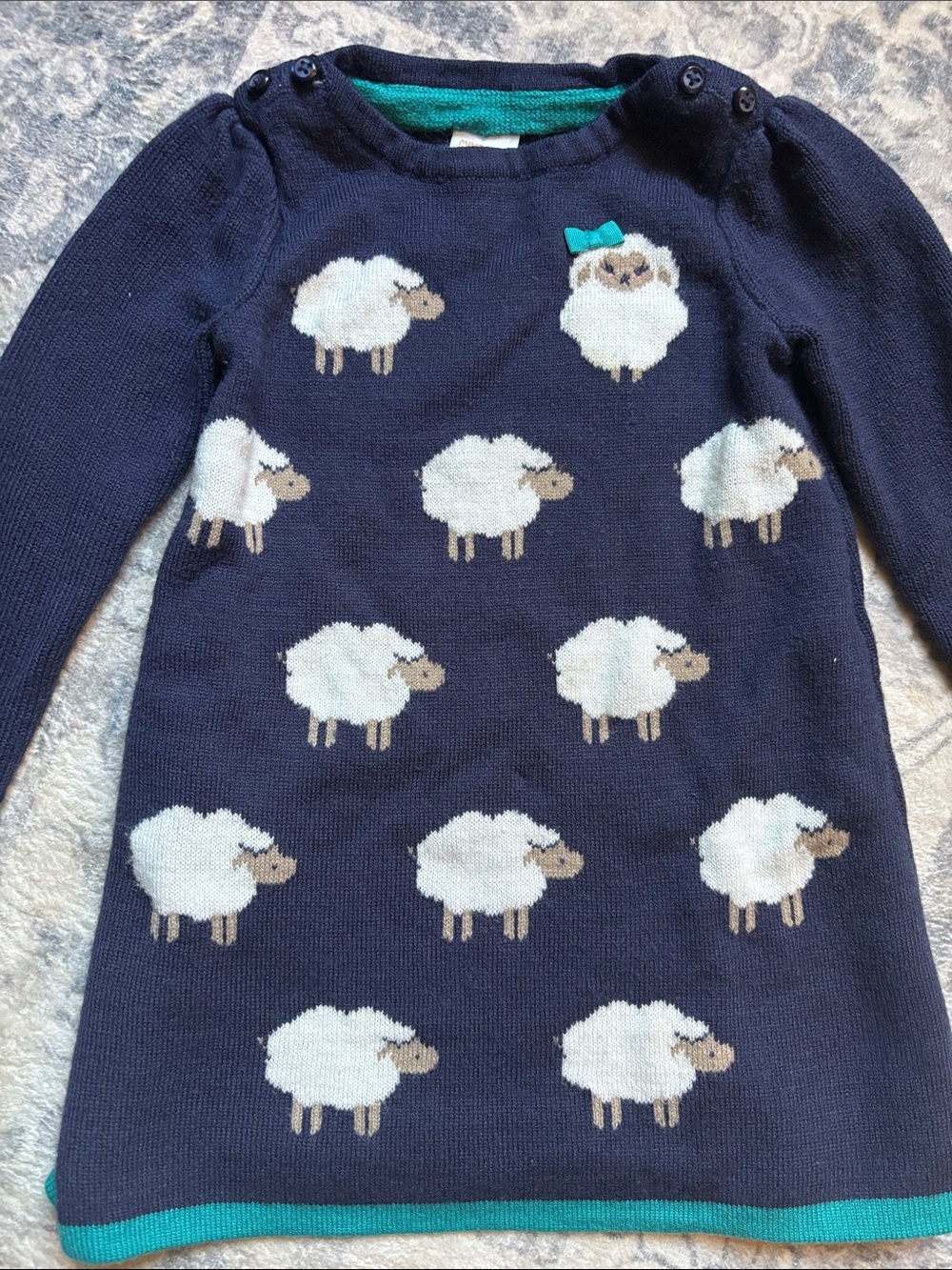 Gymboree sweater dress  with White Sheep